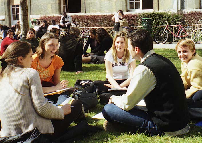 La pelouse de la cours